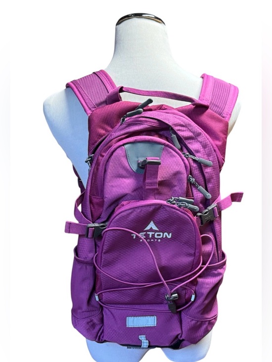 NWOT Teton Oasis 18L Hydration Backpack With 2L Bladder